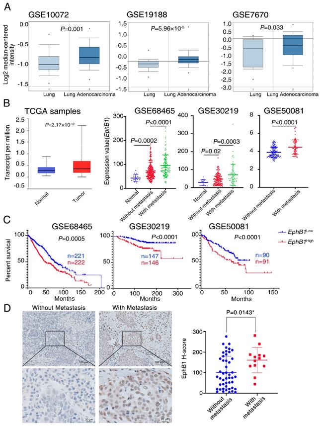 J Cancer Image