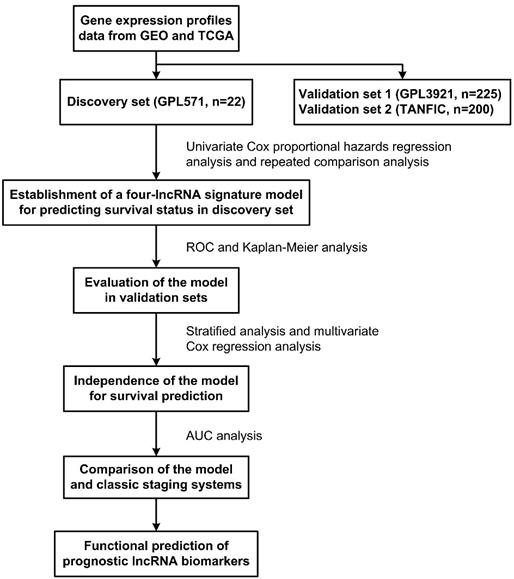 J Cancer Image