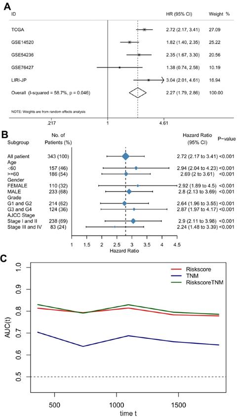 J Cancer Image