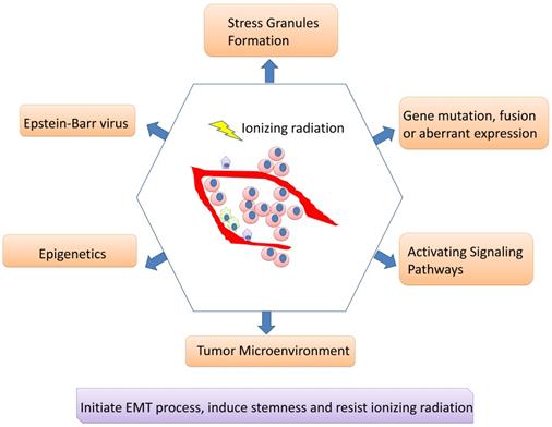 J Cancer Image