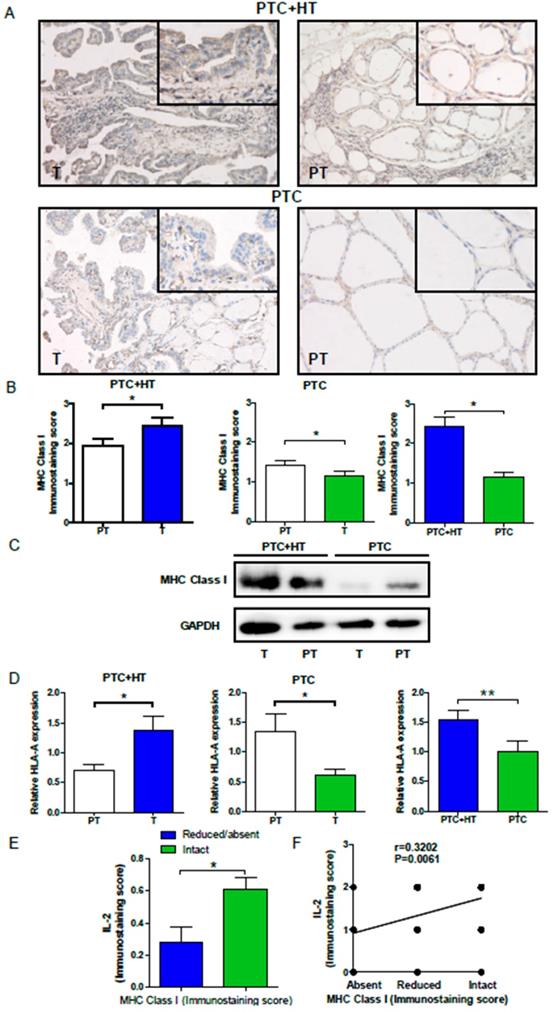 J Cancer Image