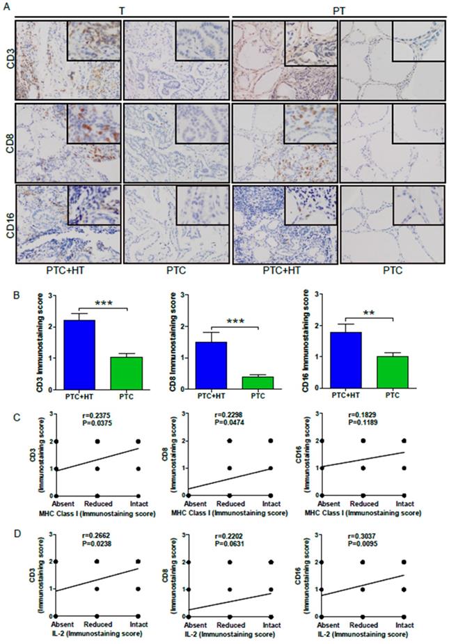 J Cancer Image