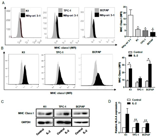 J Cancer Image