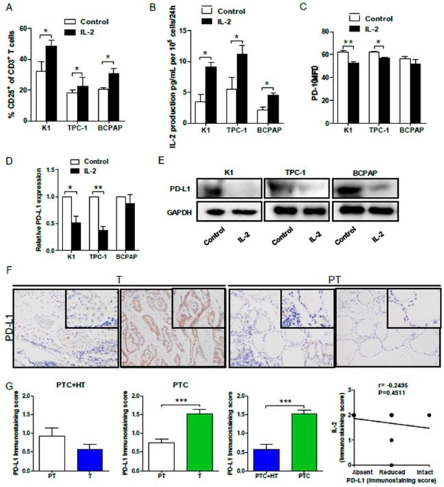 J Cancer Image