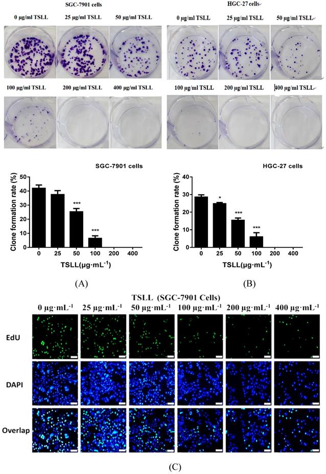 J Cancer Image