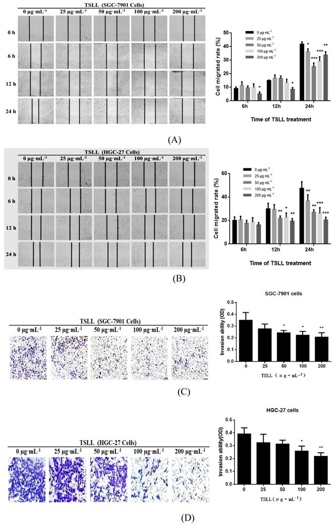 J Cancer Image