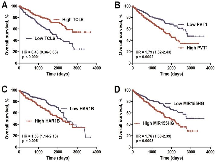 J Cancer Image