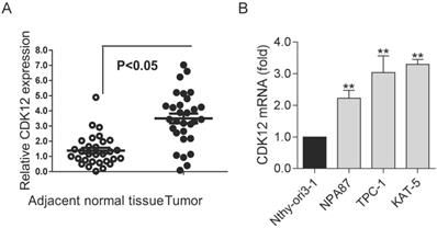 J Cancer Image