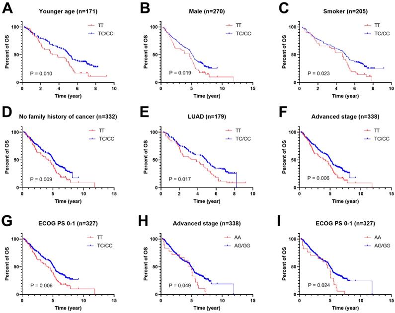 J Cancer Image