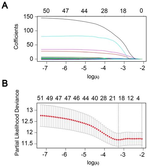 J Cancer Image