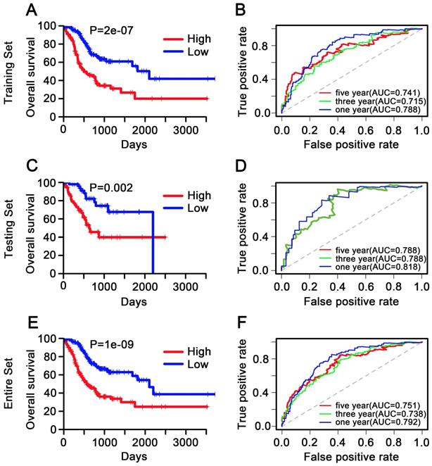 J Cancer Image