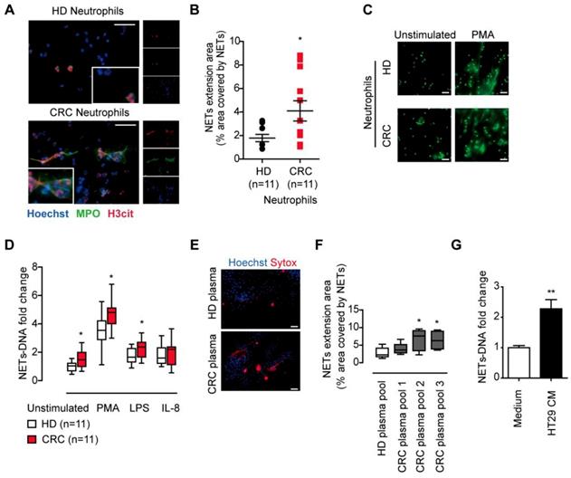 J Cancer Image