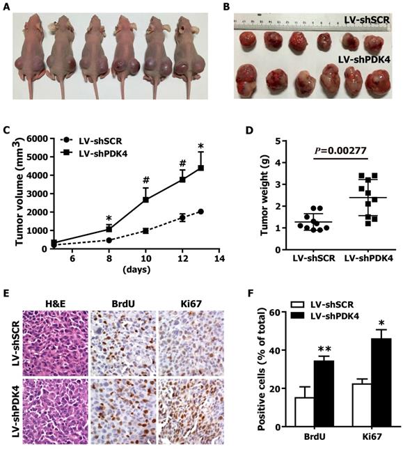 J Cancer Image