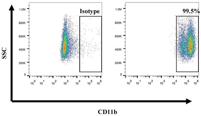 J Cancer Image