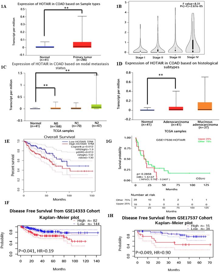 J Cancer Image