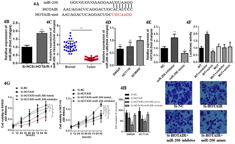 J Cancer Image