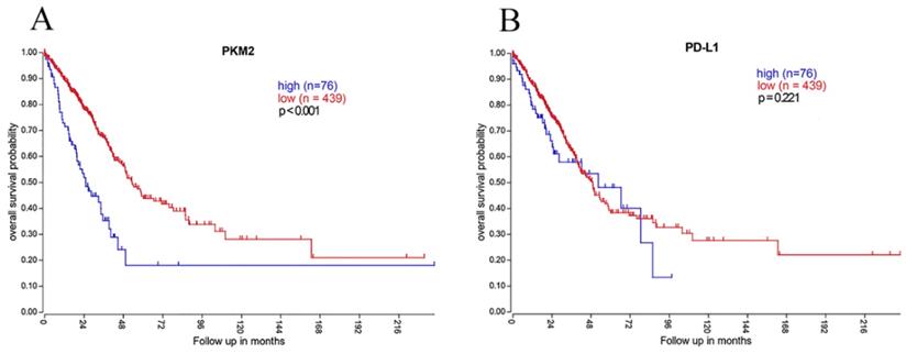 J Cancer Image