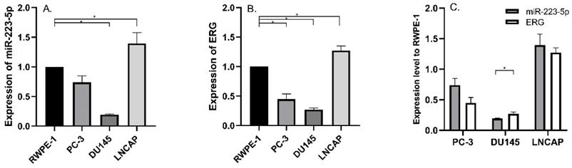 J Cancer Image