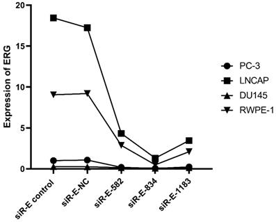 J Cancer Image