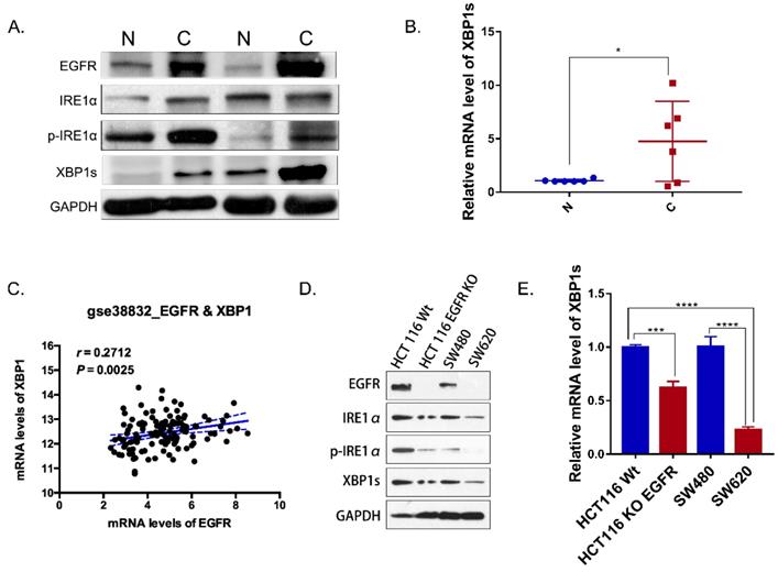 J Cancer Image