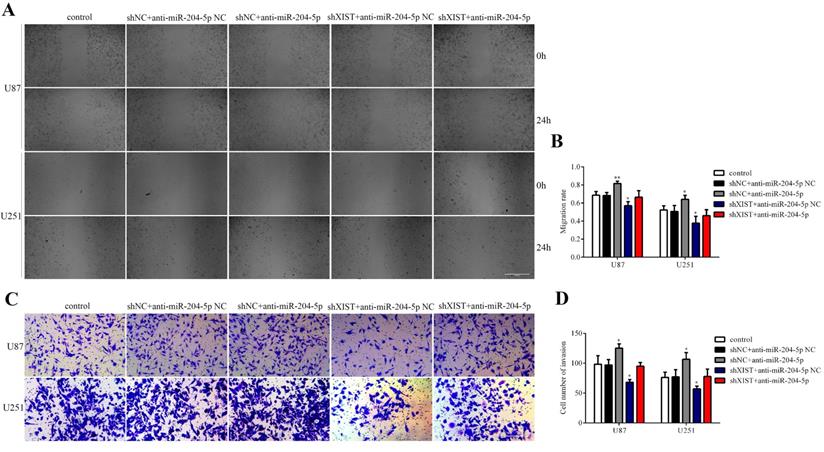 J Cancer Image