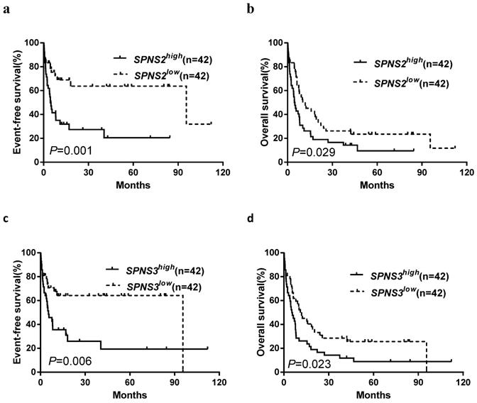 J Cancer Image