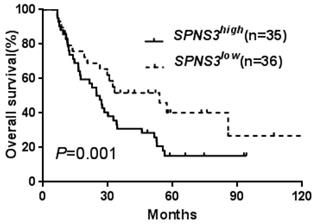 J Cancer Image