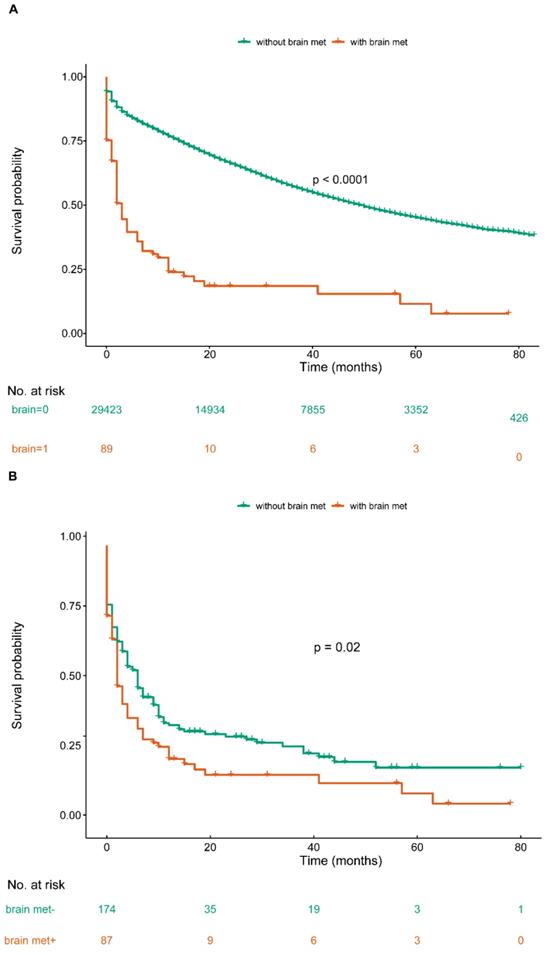 J Cancer Image