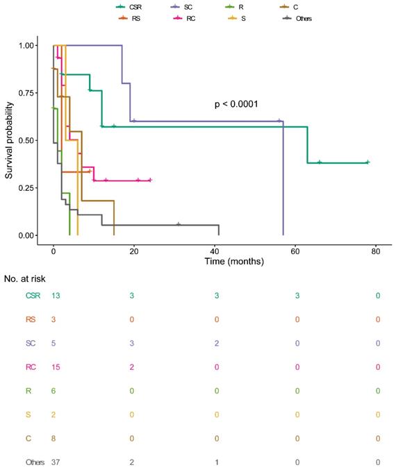 J Cancer Image