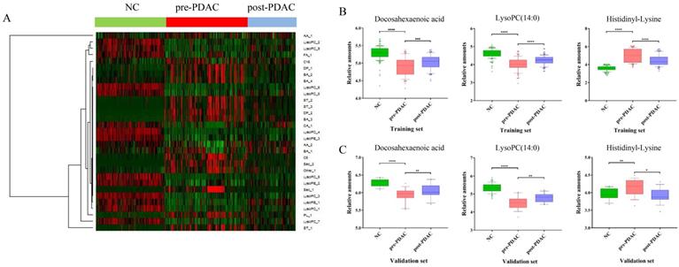 J Cancer Image