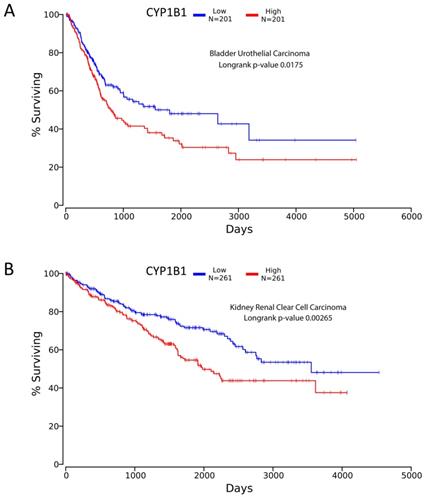 J Cancer Image