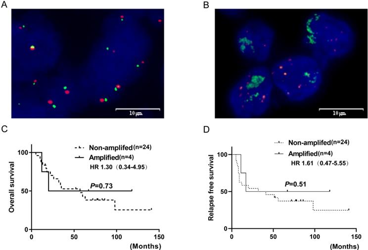 J Cancer Image