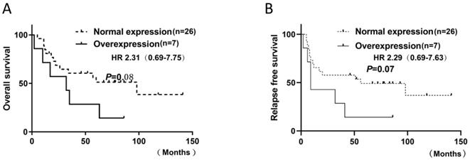 J Cancer Image