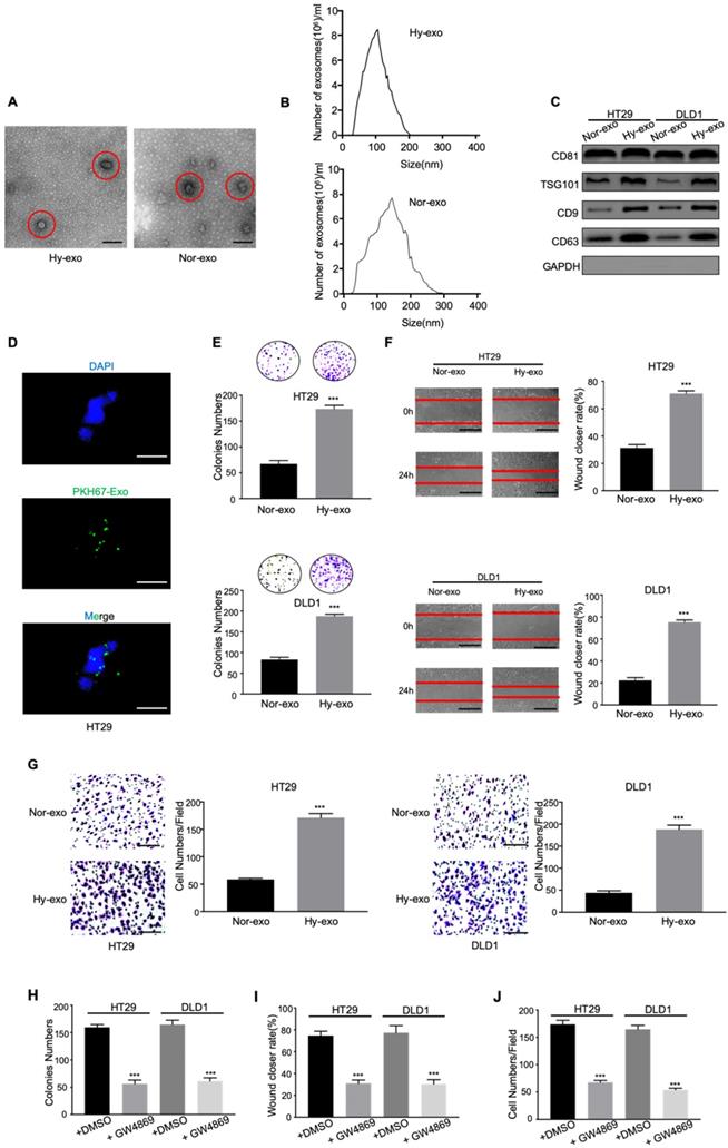 J Cancer Image