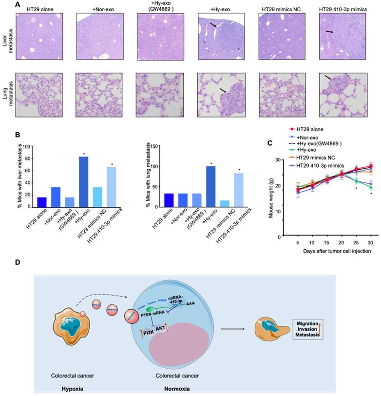 J Cancer Image