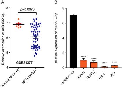 J Cancer Image