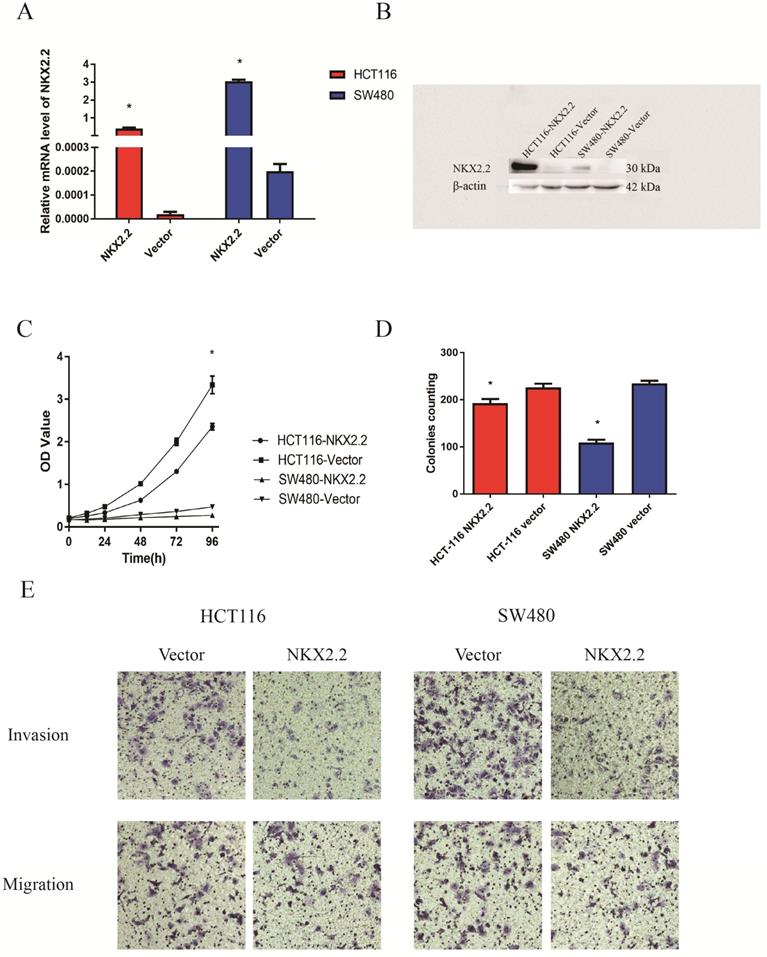 J Cancer Image