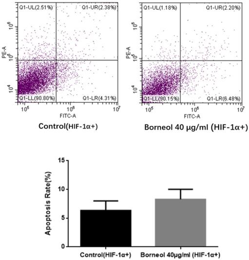 J Cancer Image