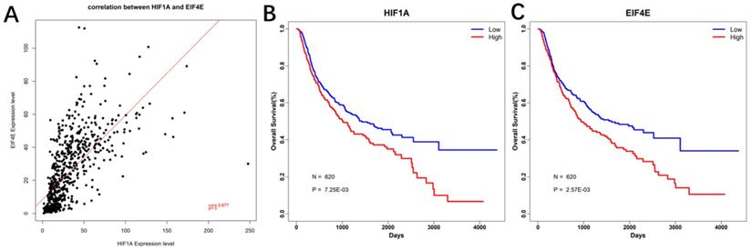 J Cancer Image