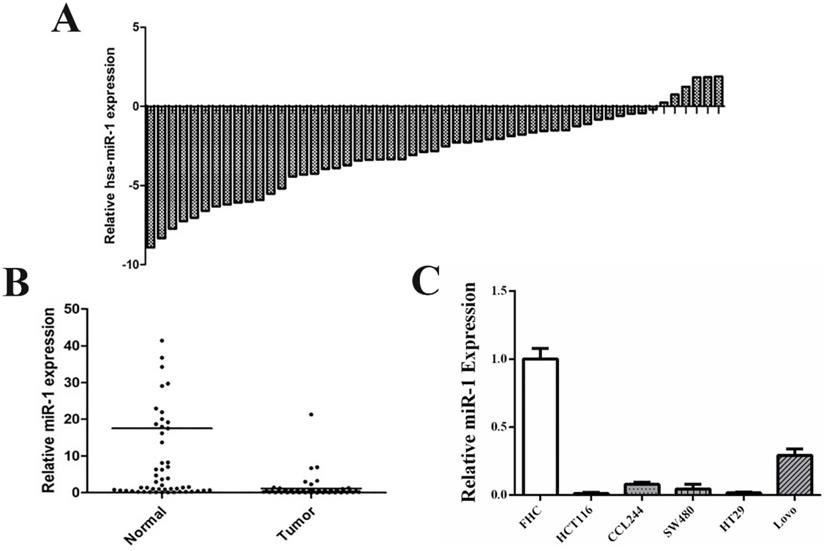 J Cancer Image