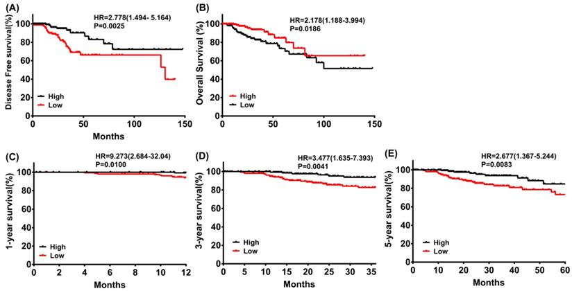 J Cancer Image