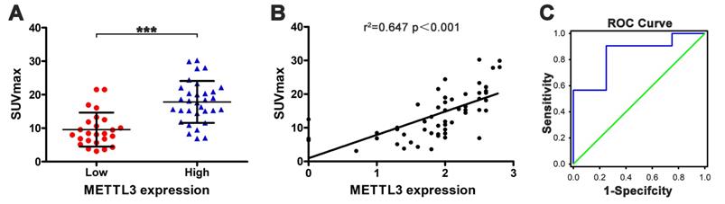 J Cancer Image