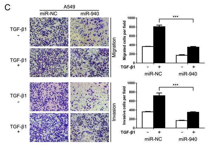 J Cancer Image