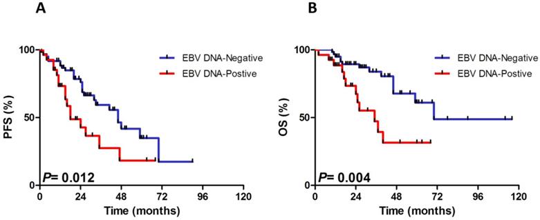 J Cancer Image