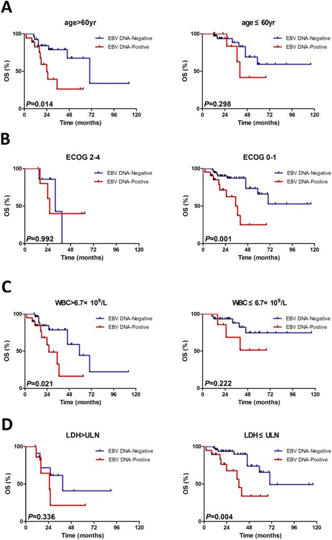 J Cancer Image