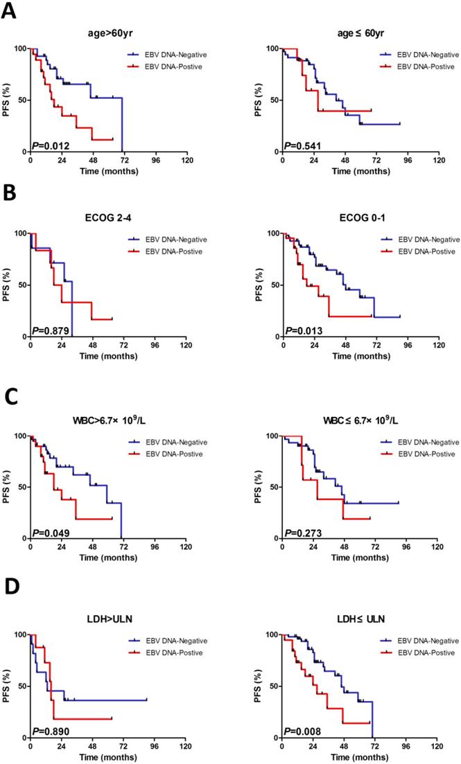 J Cancer Image