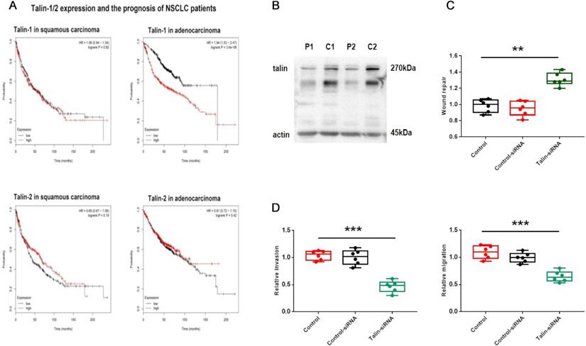 J Cancer Image