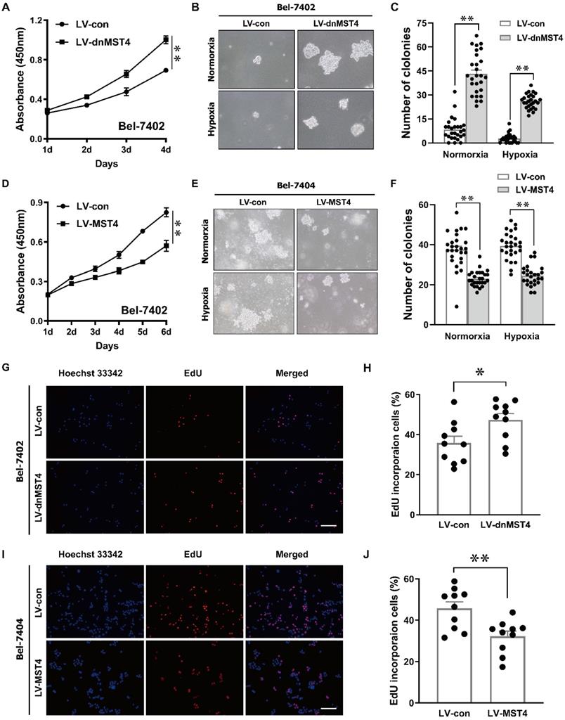 J Cancer Image