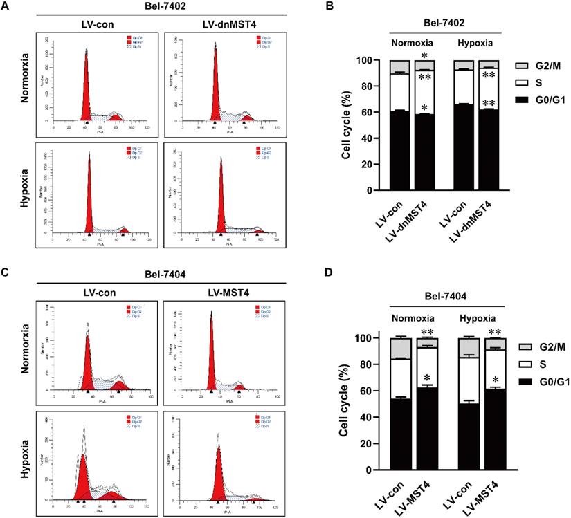 J Cancer Image