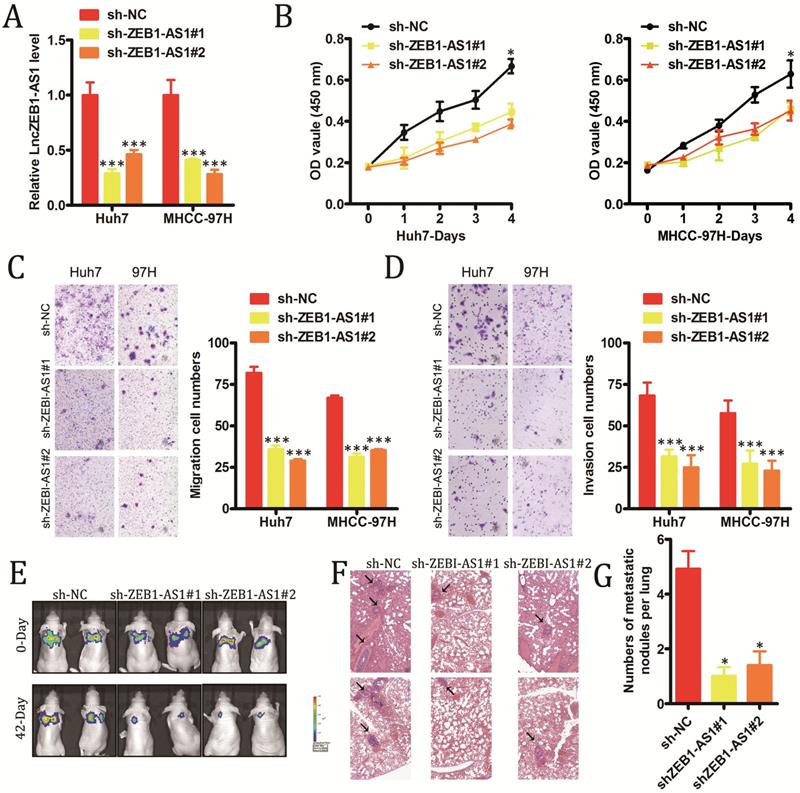 J Cancer Image